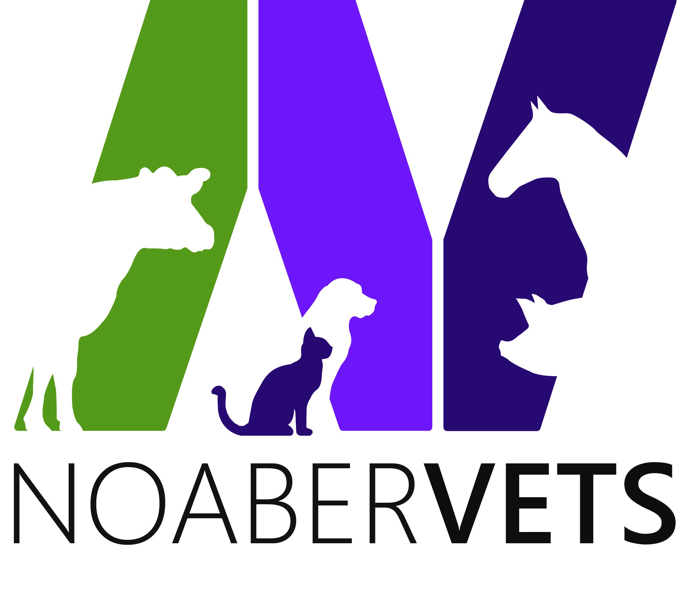 Logo NoaberVets