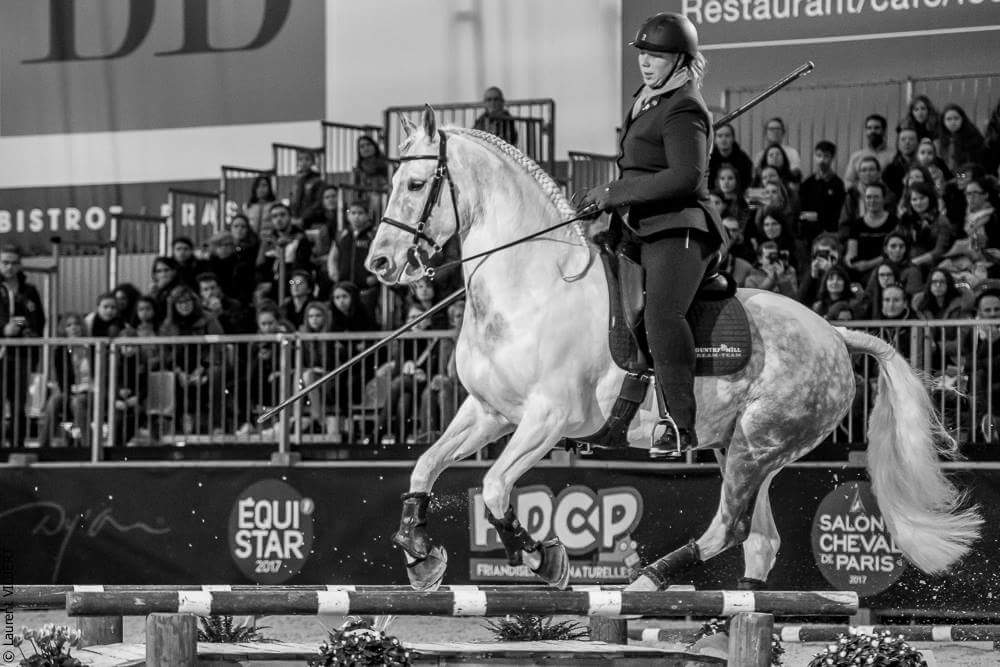 Working equitation foto