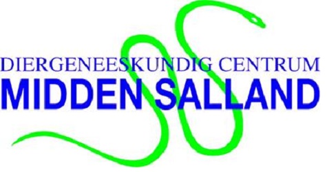 logo dcg midden salland