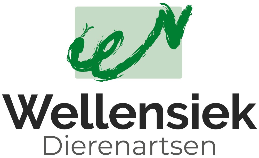 wellensiek