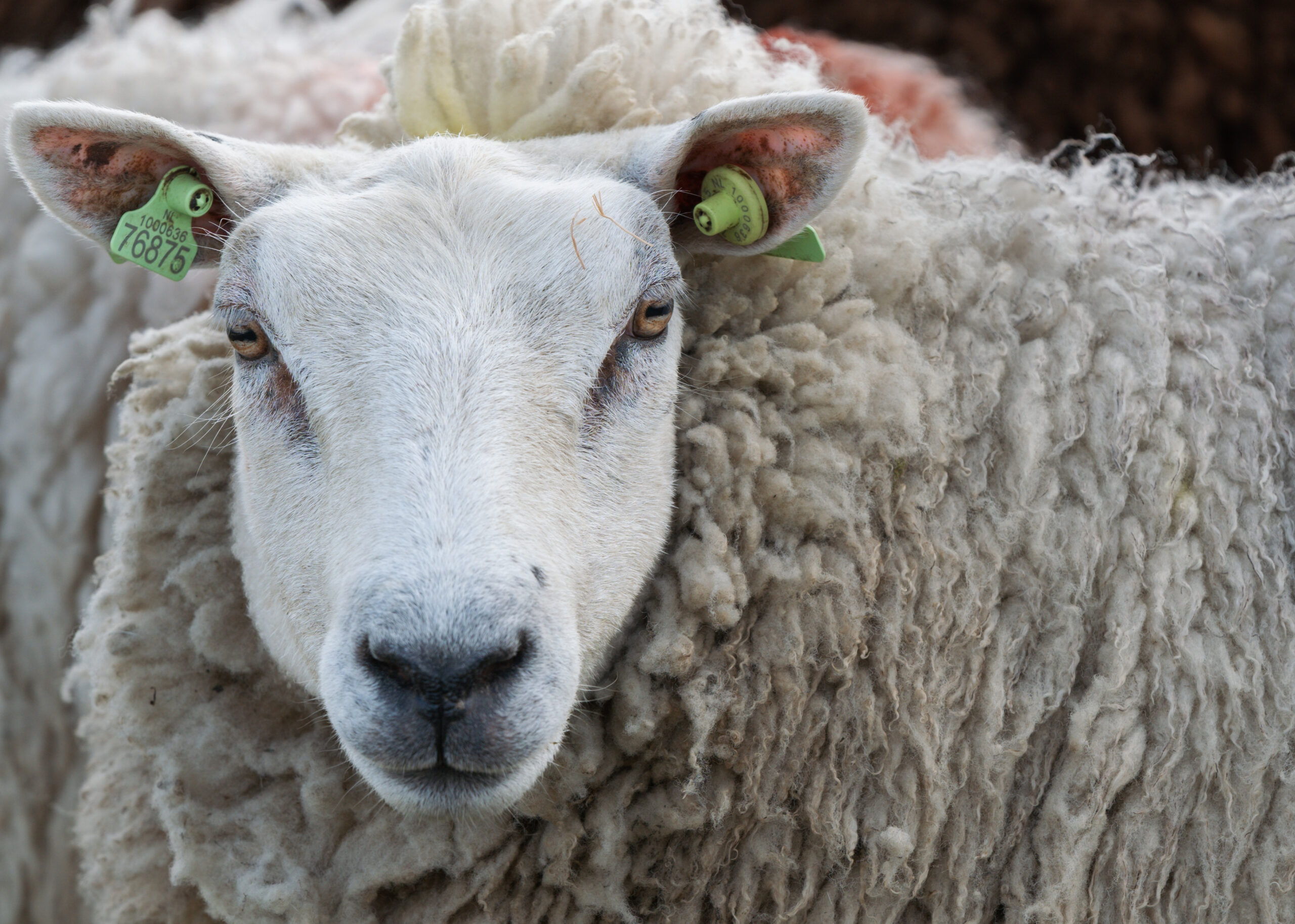 2025-DanielleBosschaart-DOE2025-173