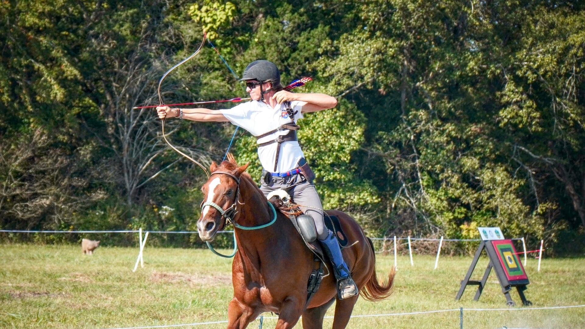 b2f91c52-834d-40cc-ae48-9deedda0cd6e_thumb1920