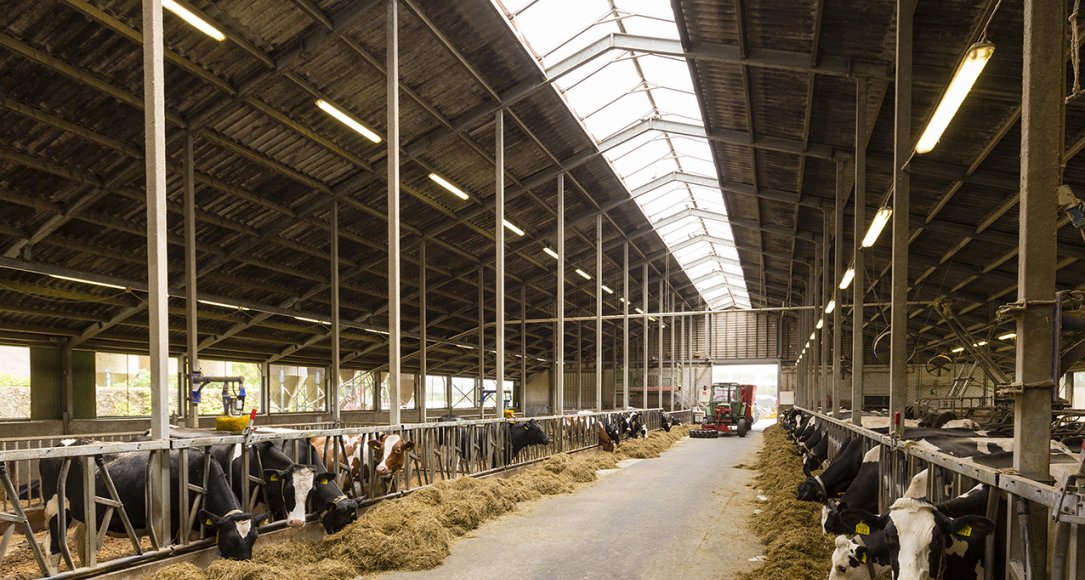 dgk_onderwijsboerderij_de_tolakker_uu5665_low_res