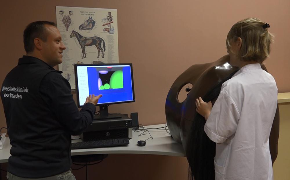 haptic-horse_1000x620